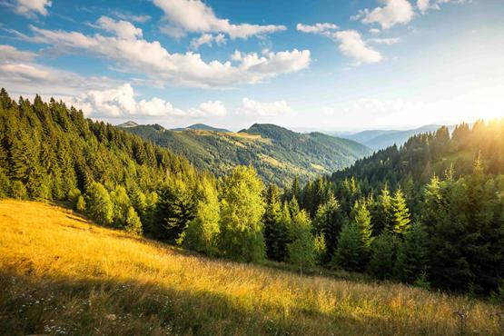 Mountain view at sunset